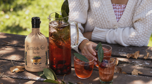 Sloe Spritz